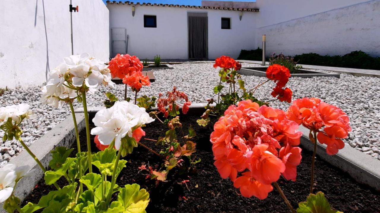 Casa Dos Vizinhos - Casas De Taipa Villa São Pedro do Corval Exterior foto